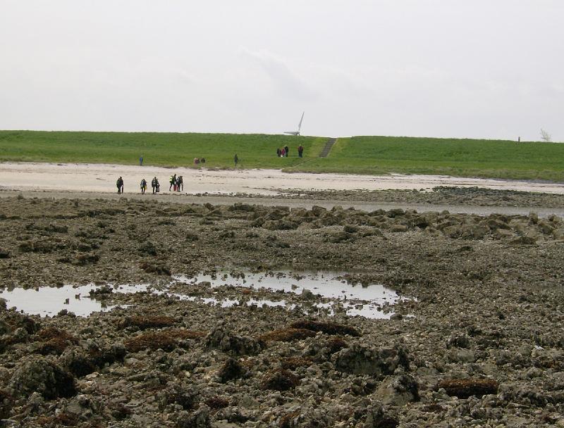 100516_SasVanGoes_12.JPG - Sas Van Goes