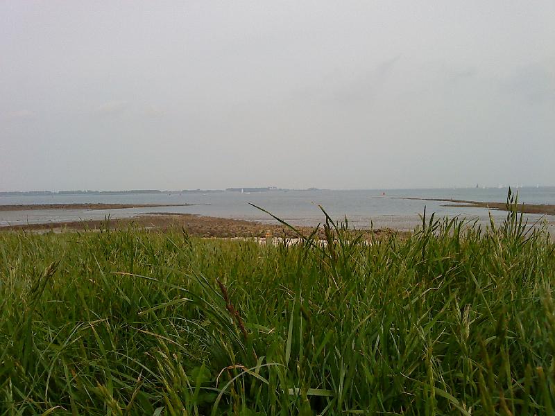 100516_SasVanGoes_25.JPG - Sas Van Goes