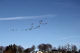 120211_Butgenbach_181