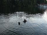 120906_Robertville_072