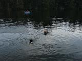 120906_Robertville_073