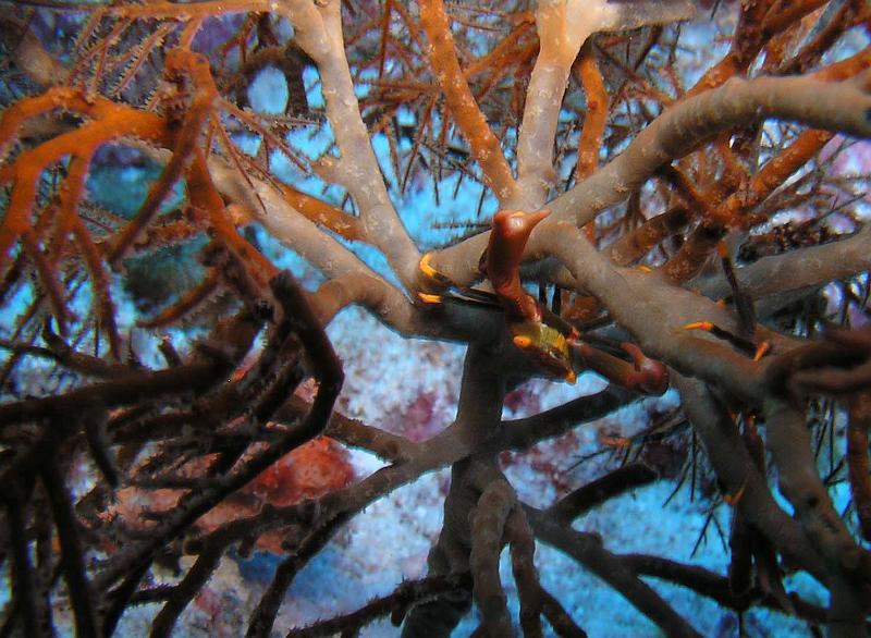 P2180233b.jpg - OLYMPUS DIGITAL CAMERA