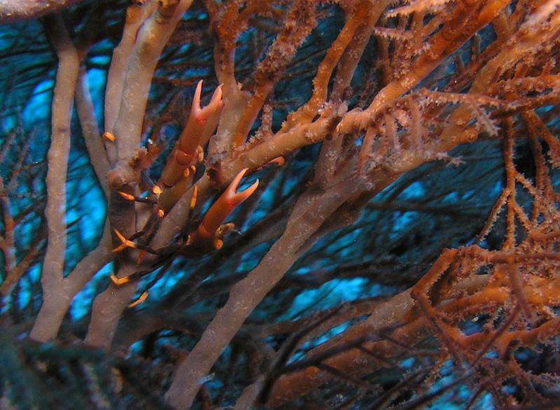 P2180234b.jpg - OLYMPUS DIGITAL CAMERA