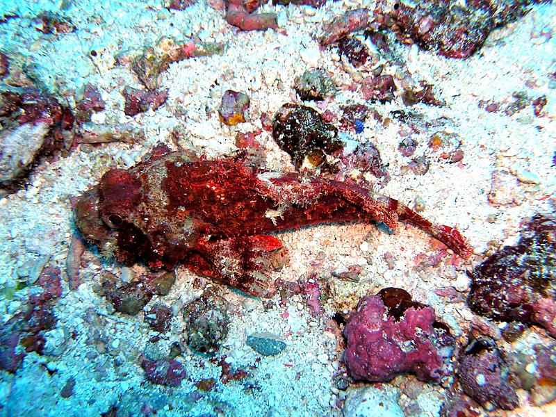 P2220018b.jpg - OLYMPUS DIGITAL CAMERA