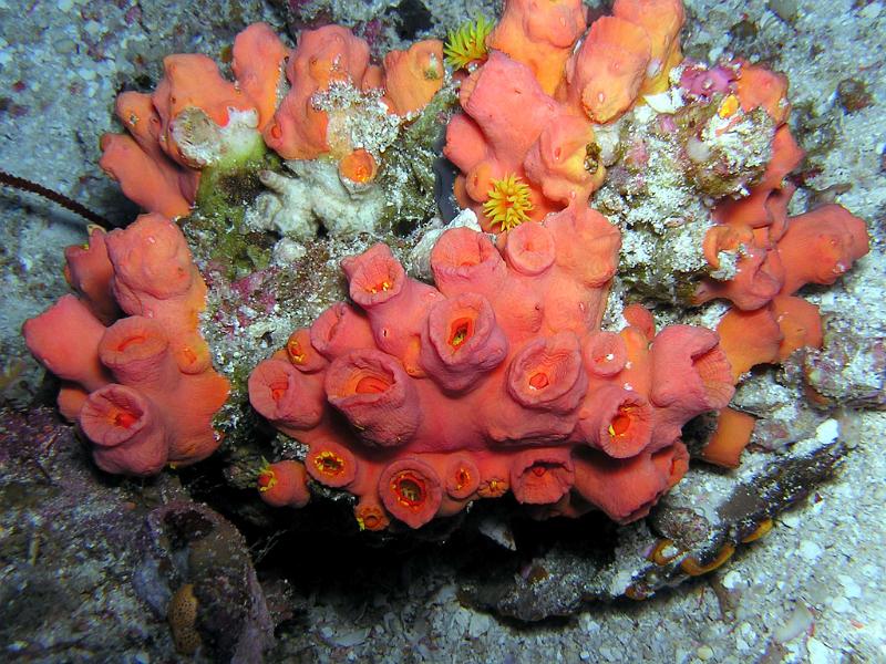 P2220026b.jpg - OLYMPUS DIGITAL CAMERA