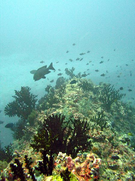 P2220042b.jpg - OLYMPUS DIGITAL CAMERA