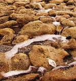 130331_Zelande_002_Sas-van-Goes