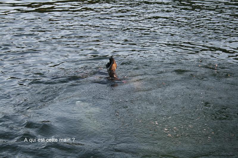 130905_Robertville_127.JPG - est celle main ?