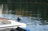 130905_Robertville_061