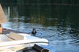 130905_Robertville_062