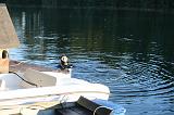 130905_Robertville_063