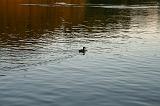 130905_Robertville_136