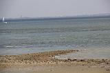 140419_Zelande_046