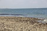 140419_Zelande_094