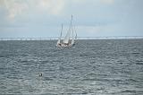 140815_Zelande_029