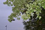 140904_Robertville_151
