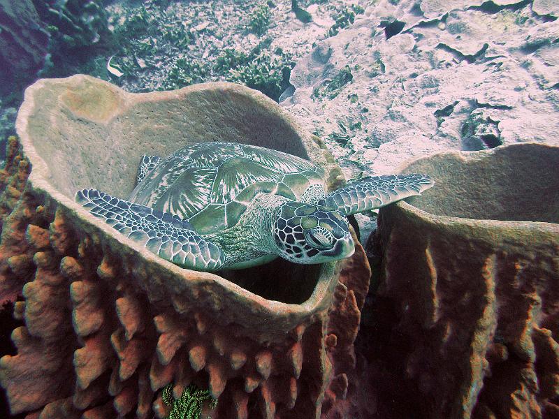 DSC08278c.jpg - OLYMPUS DIGITAL CAMERA