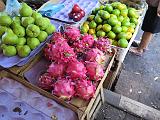 IMG_0817