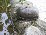 IMG_0869