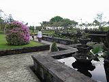 IMG_0878