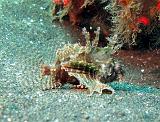 IMG_1582b