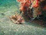 IMG_1603c
