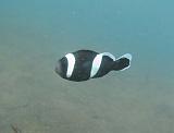 IMG_1624b