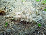 IMG_5564b