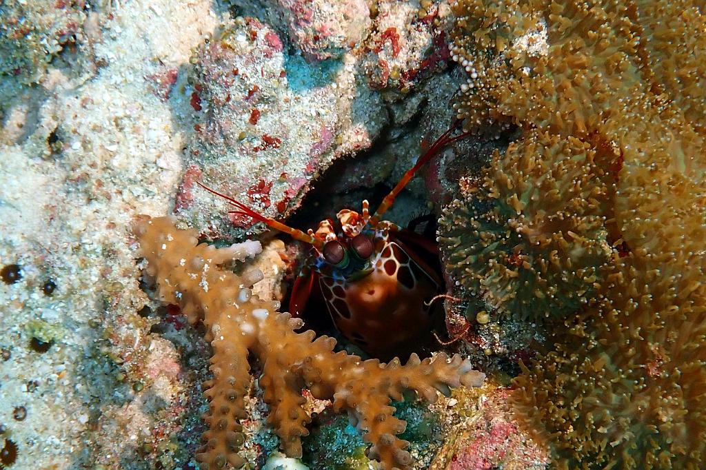 P3101688b.jpg - OLYMPUS DIGITAL CAMERA