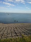 210815_Zelande_001_Epave_KleinStelle