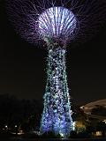 241027_Singapour_Garden_Rapshody