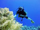 Philippe_02