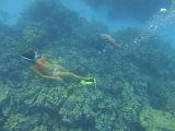 Tetrodon_et_Clemence_05