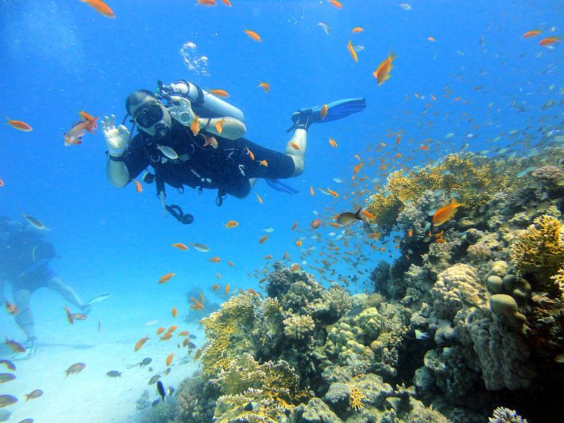 DSC06932b_Jean-Charles.jpg - Jean-Charles à El Saqwa