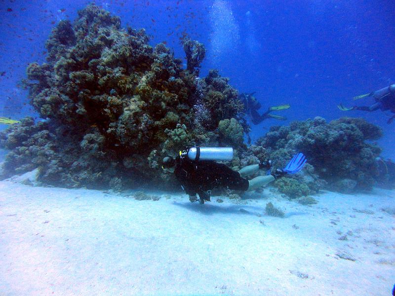 DSC07289b_Jean-Charles_Siyoul_el_Gilwa.jpg - Jean-Charles sur la patate à Siyul El Gilwa