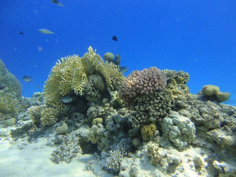 DSC07319_Siyul_El_Gilwa.JPG - Siyul El Gilwa