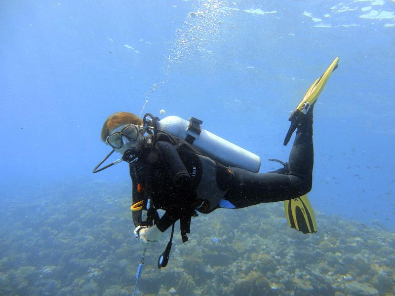 DSC08005c_Cecile.jpg - Cécile