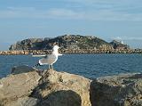 Estartit_2011_181
