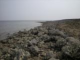 090412_zelande_paques_2009_109